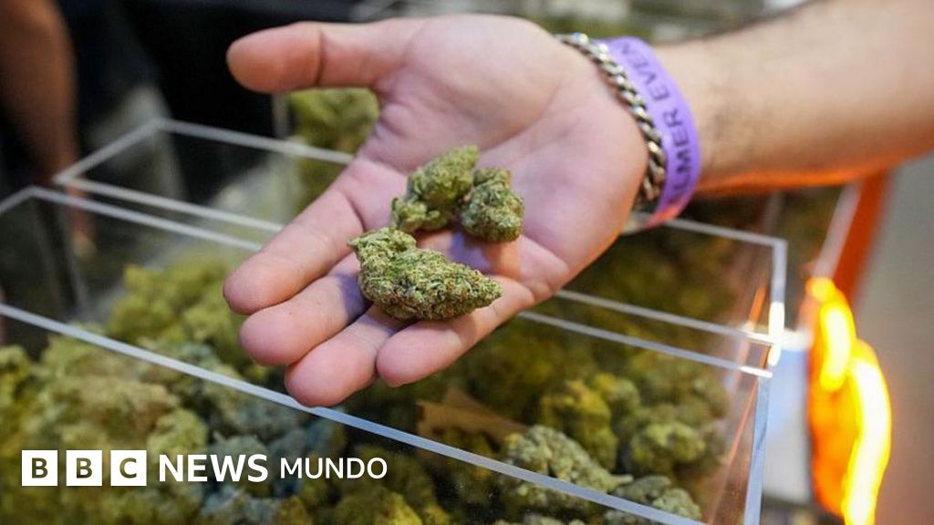 Trump amplía el acceso a la marihuana en el mayor cambio de la política de drogas de EE.UU. en décadas