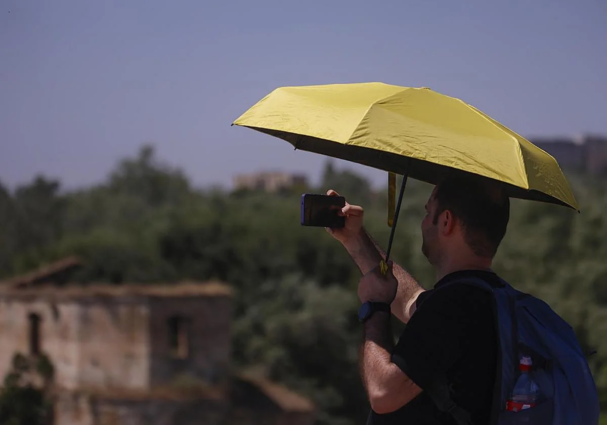 Activan el primer aviso amarillo del año por calor extremo y terral en Málaga este martes