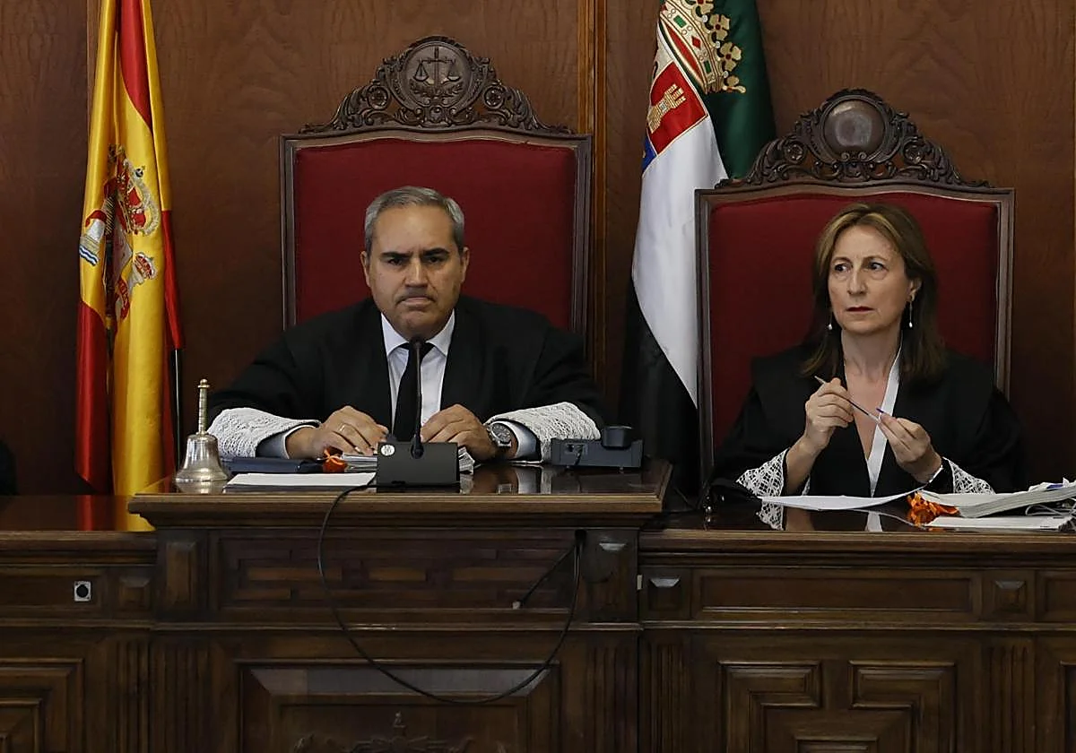 El presidente de la Sala que juzga al hermano de Sánchez: «No interesan los rumores, ni las elucubraciones ni los corrillos»