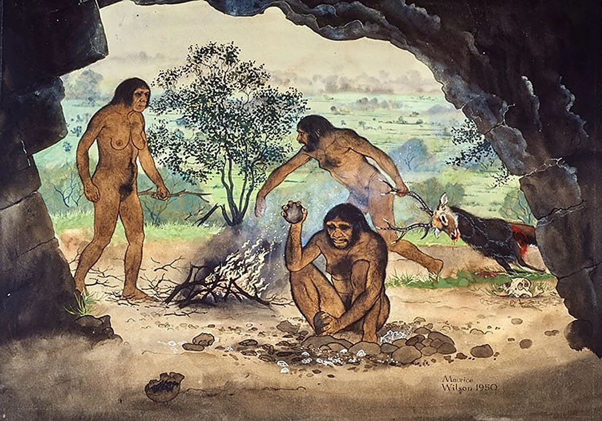 Descubren que el Homo erectus ya usaba el fuego hace unos 1,8 millones de años