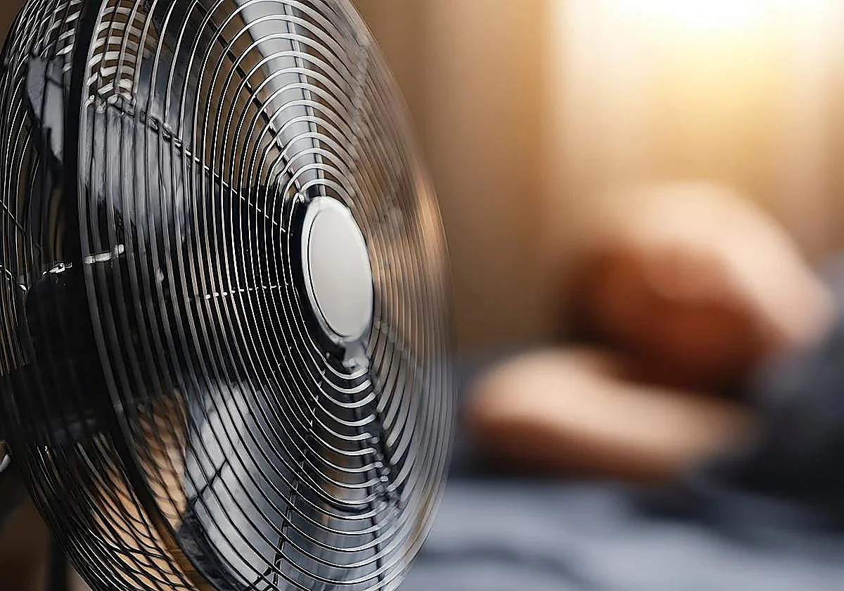 Marbella activa el dispositivo de prevención ante el aumento de las temperaturas y el riesgo de olas de calor