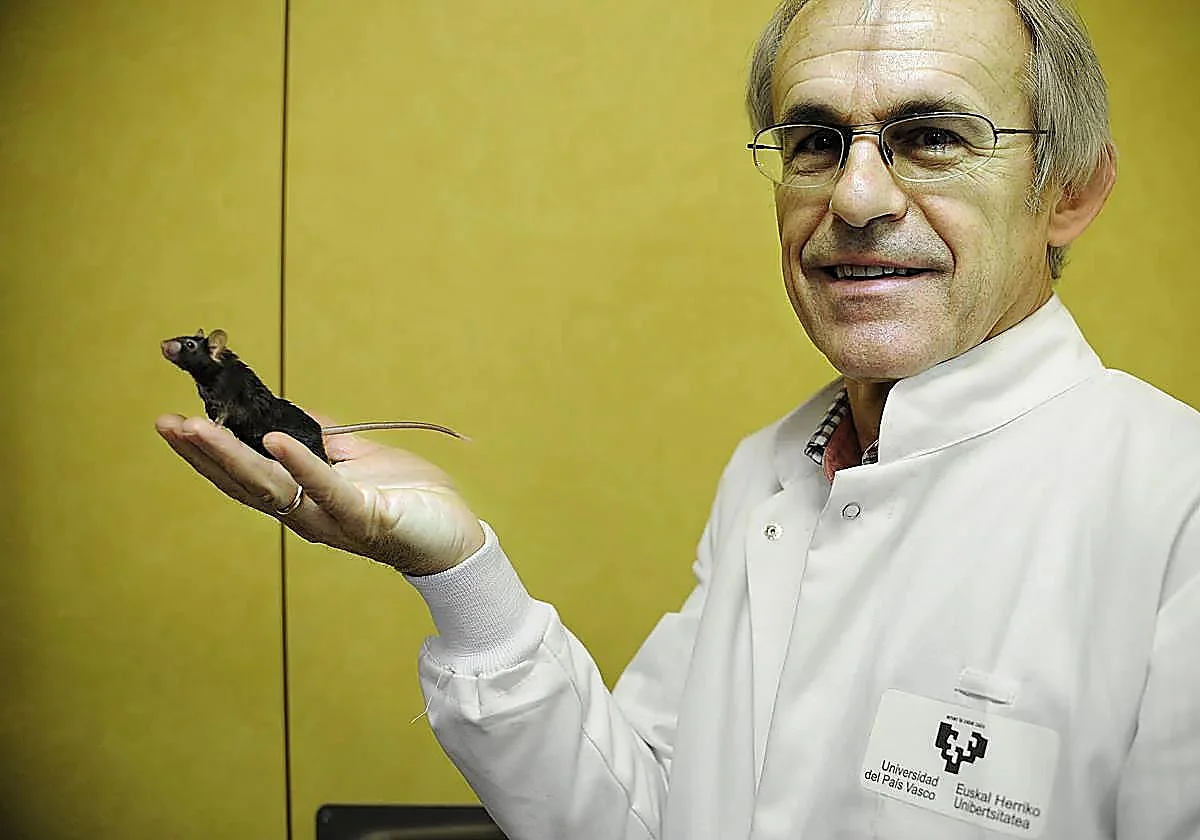 Un estudio sobre los efectos de correr una maratón en el cerebro, segundo más importante del año para la revista 'Nature'