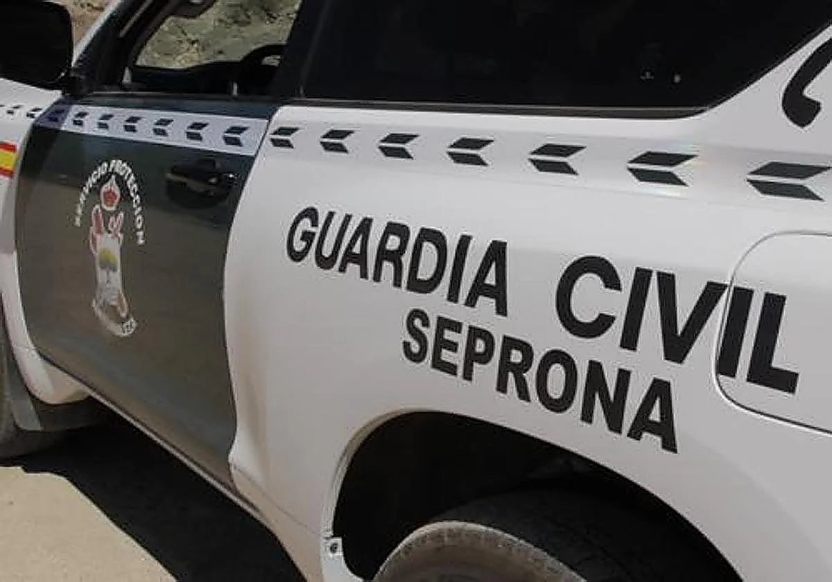 La Guardia Civil rescata a una cabra montesa atrapada en una balsa de riego en Cártama
