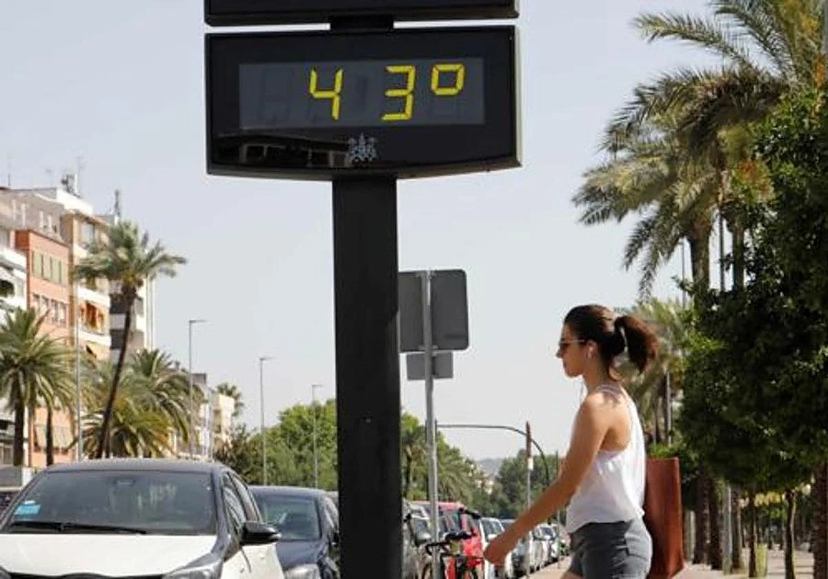 La ONU alerta de «fenómenos meteorológicos extremos» este verano por 'El Niño'