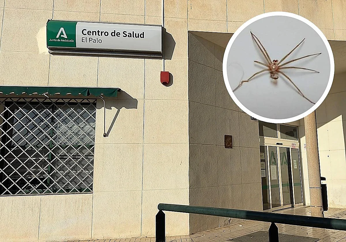 Un vecino de El Palo, a punto de perder un brazo por la picadura de una araña violinista
