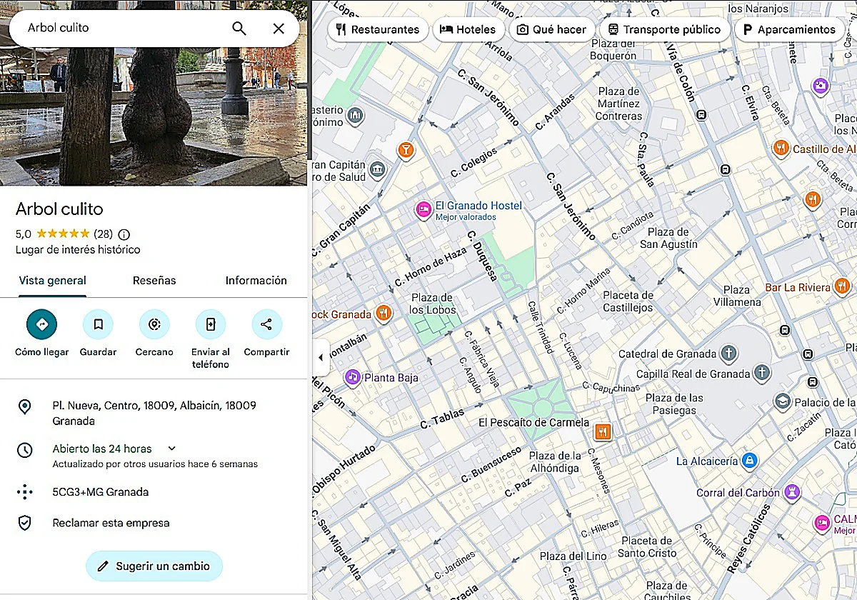 Granada's 'little bum' tree gets five-star rating on Google Maps