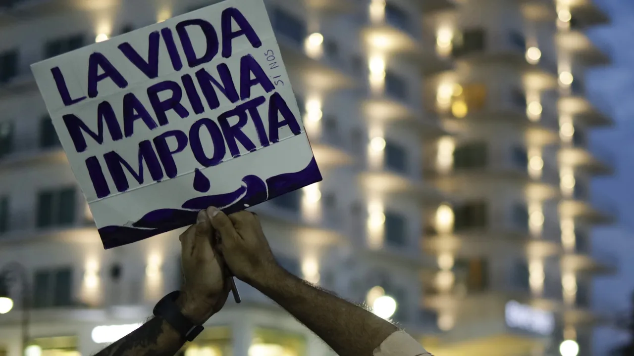 Activistas exigen frenar planta de amoníaco en Topolobampo, Sinaloa; denuncian ecocidio y riesgos a la salud