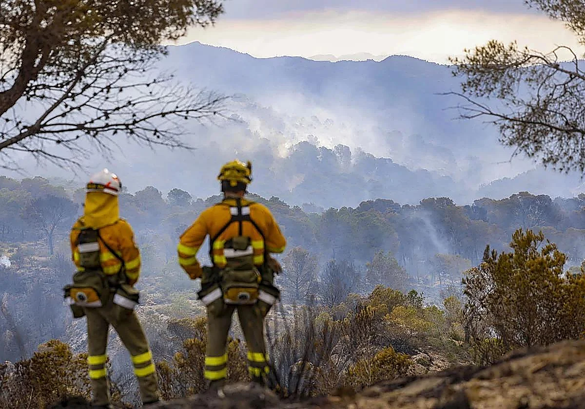 El 'desplome' de una nube de cenizas y gases expandió el incendio de la Cresta del Gallo de Murcia