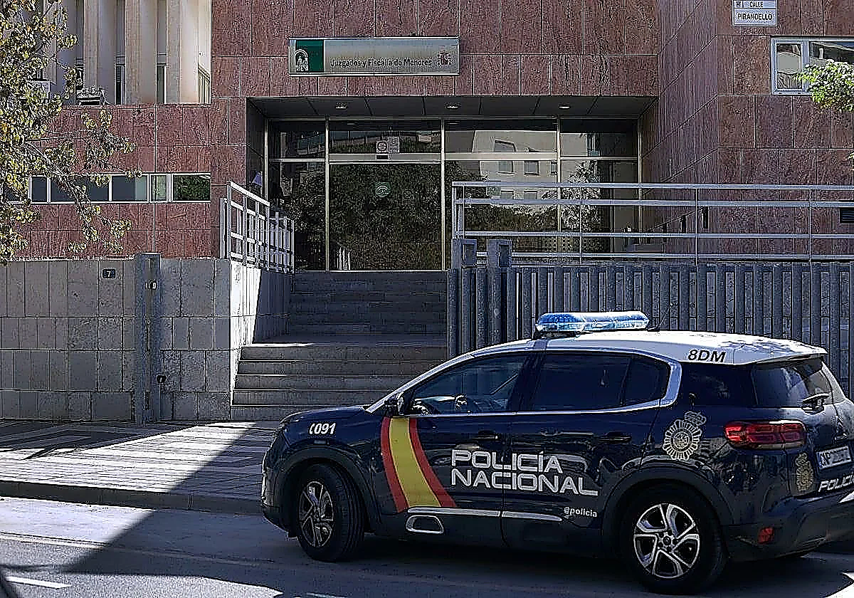 Malaga's juvenile court convicts eight teenagers of assault, coercion and illegal detention