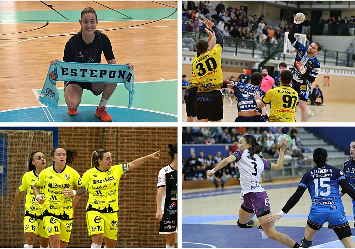 Polideportivo malagueño: Varios equipos de la provincia, en busca de la última victoria del año