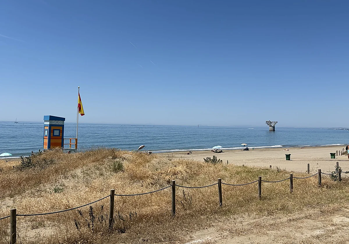 Marbella ampliará su reserva ecológica dunar con tres nuevos espacios