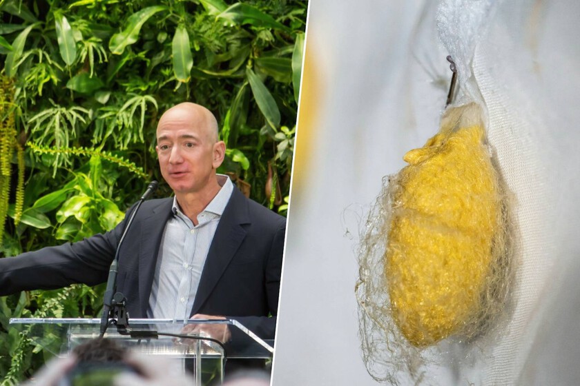 La ropa del futuro la fabrican bacterias. Jeff Bezos acaba de invertir 34 millones para demostrarlo