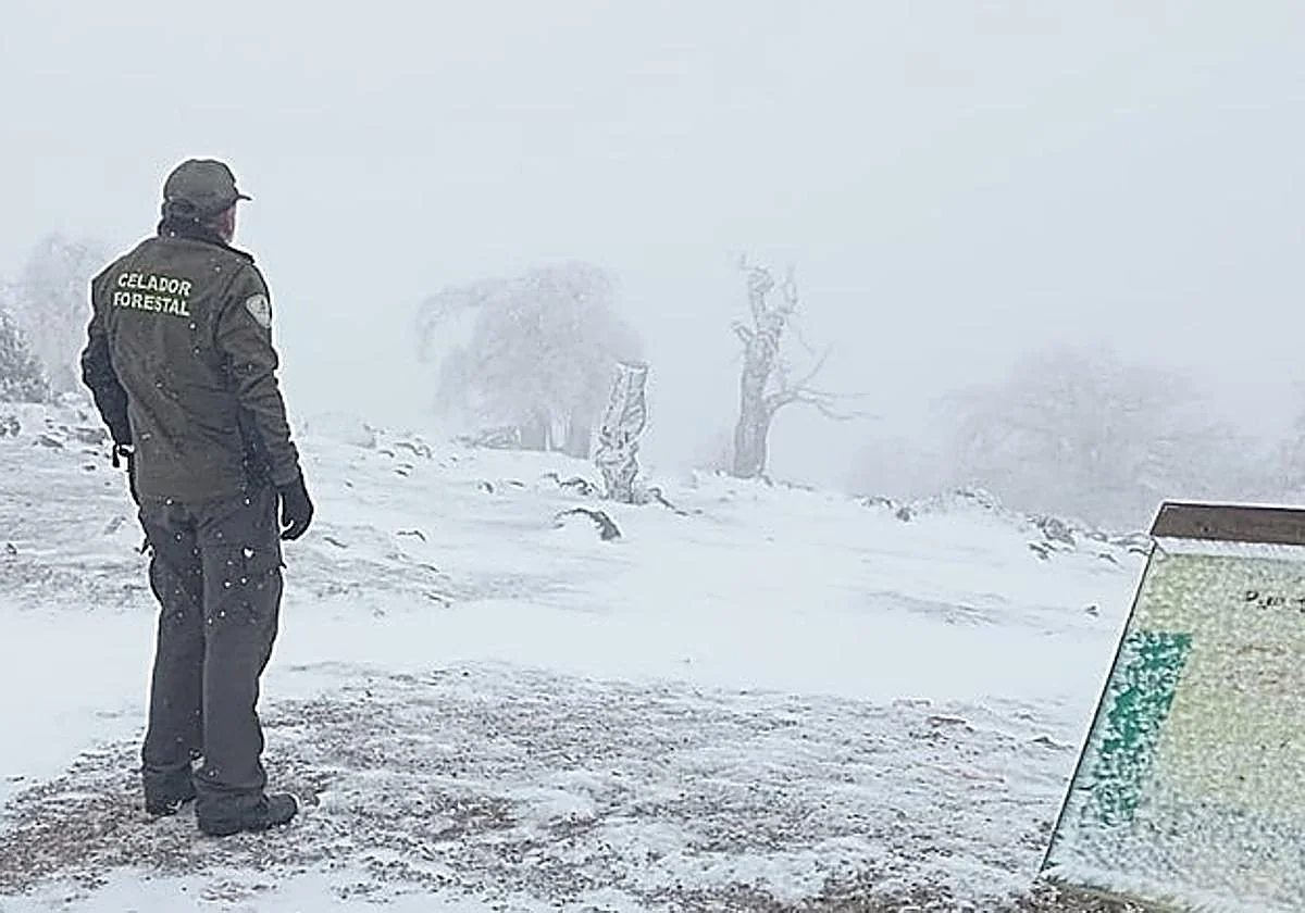Aemet alerta de nevadas este domingo en Andalucía por debajo de los mil metros