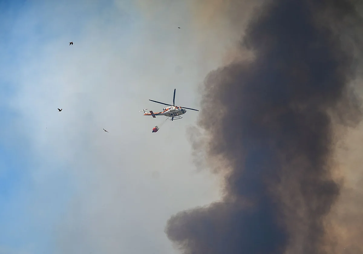Las llamas devoran 3.600 hectáreas en Huelva en un perímetro de extrema complejidad