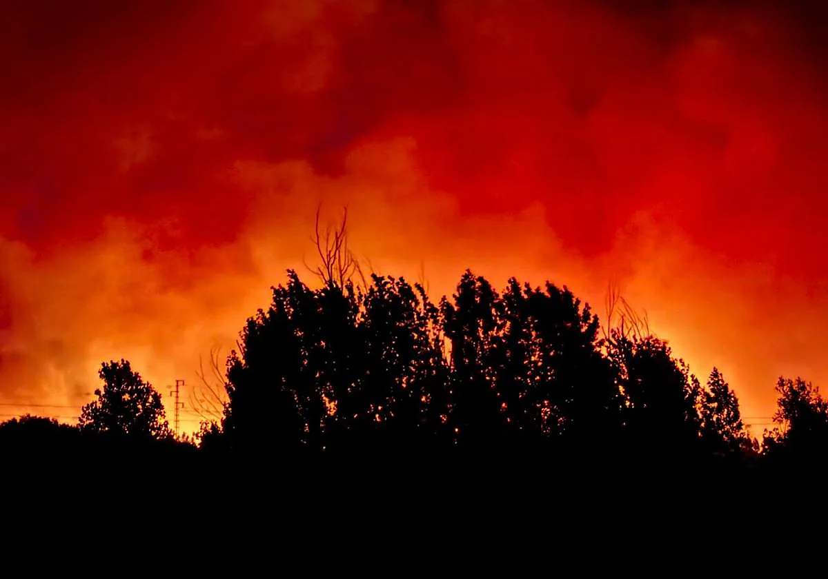 Nuevos medios aéreos se incorporan al incendio de Huelva que ya afecta a más de 3.000 hectáreas