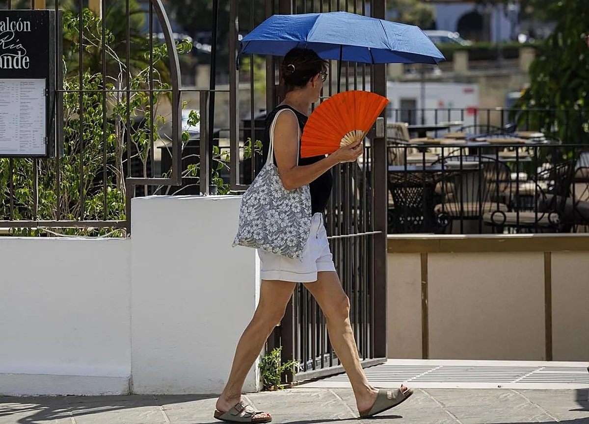 Vuelven los avisos amarillos a Andalucía: cinco provincias en alerta por viento, oleaje y calor