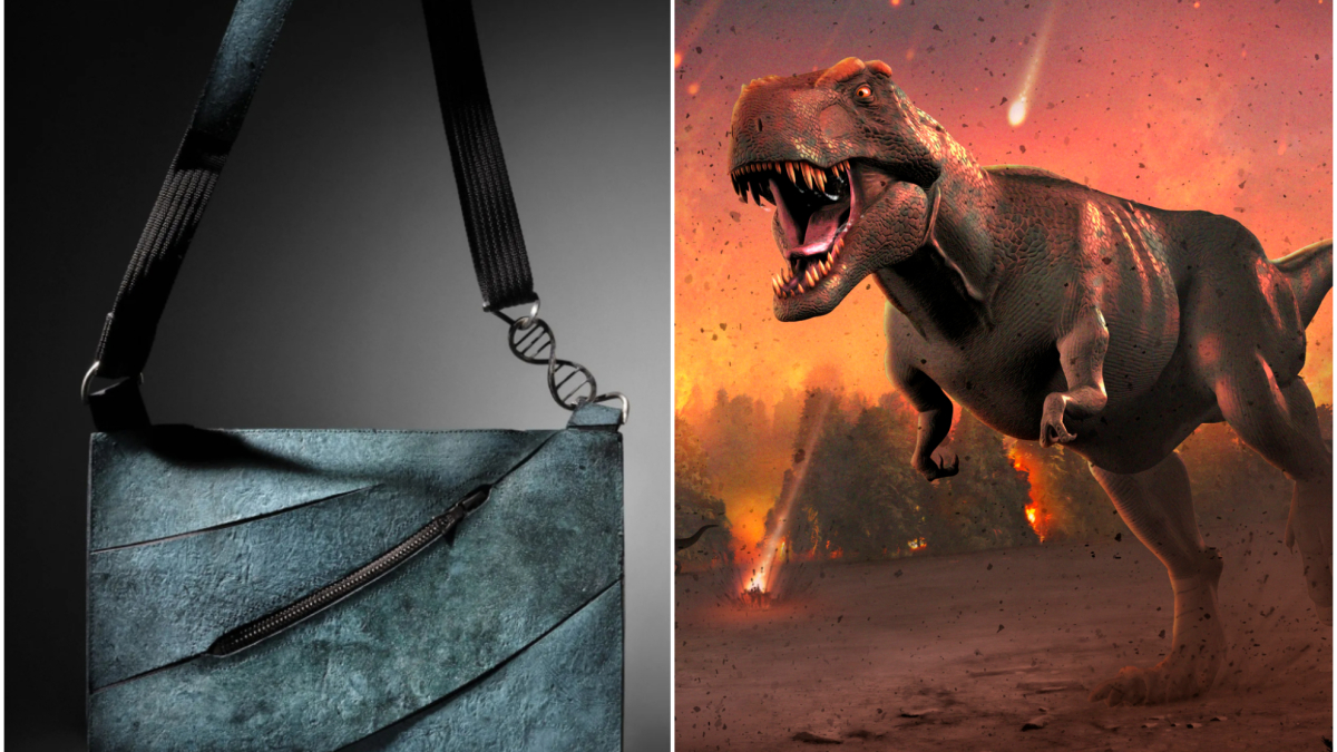 Subastan un bolso de piel de T-Rex por 500.000 euros: la ciencia, la moda y el lujo se cruzan