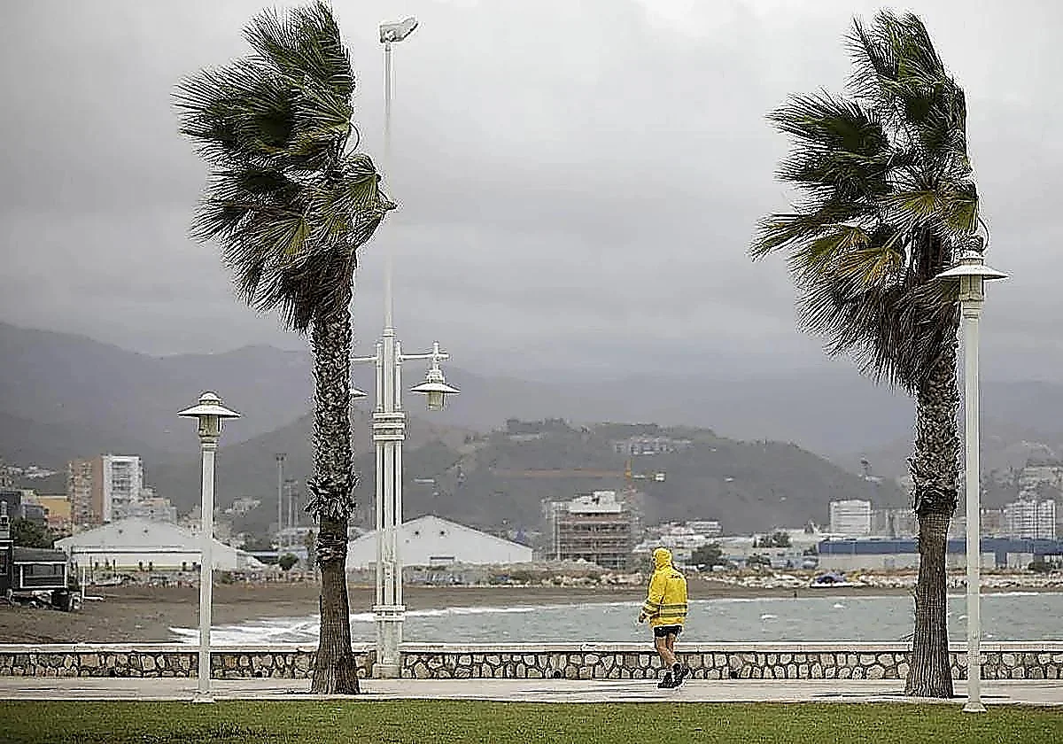 Malaga province under yellow warning for strong winds on Friday