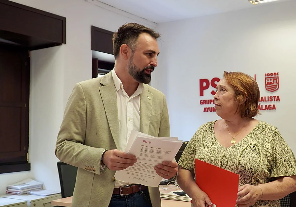 El PSOE asegura que la anulación de las Bajas Emisiones es «una mala noticia para la ciudad»