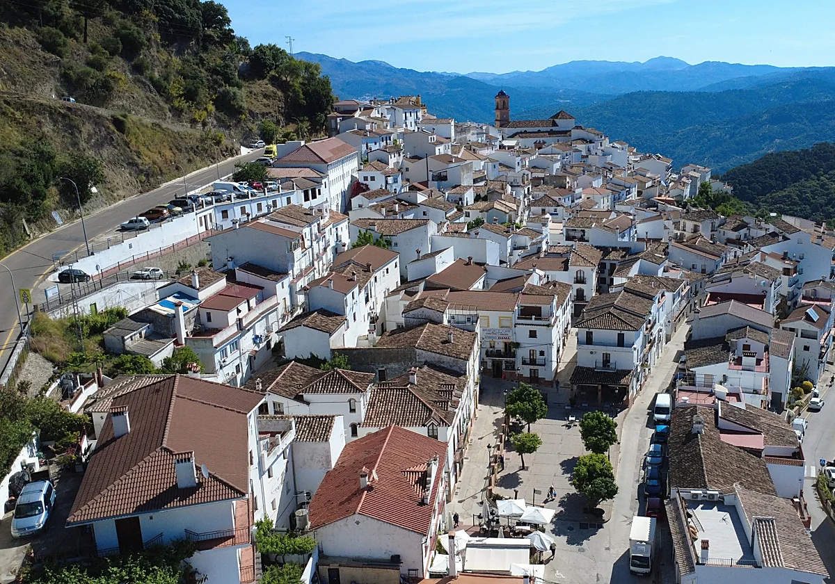 Algatocín usará astillas de sus montes para calentar edificios municipales