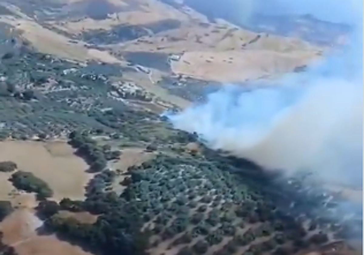 Estabilizado el incendio forestal de Antequera