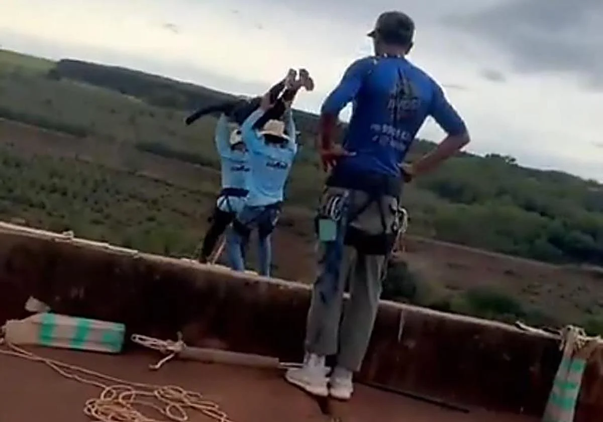 «Un apagón mental»: la surrealista explicación de los monitores que tiraron a una joven sin sujeción desde un puente