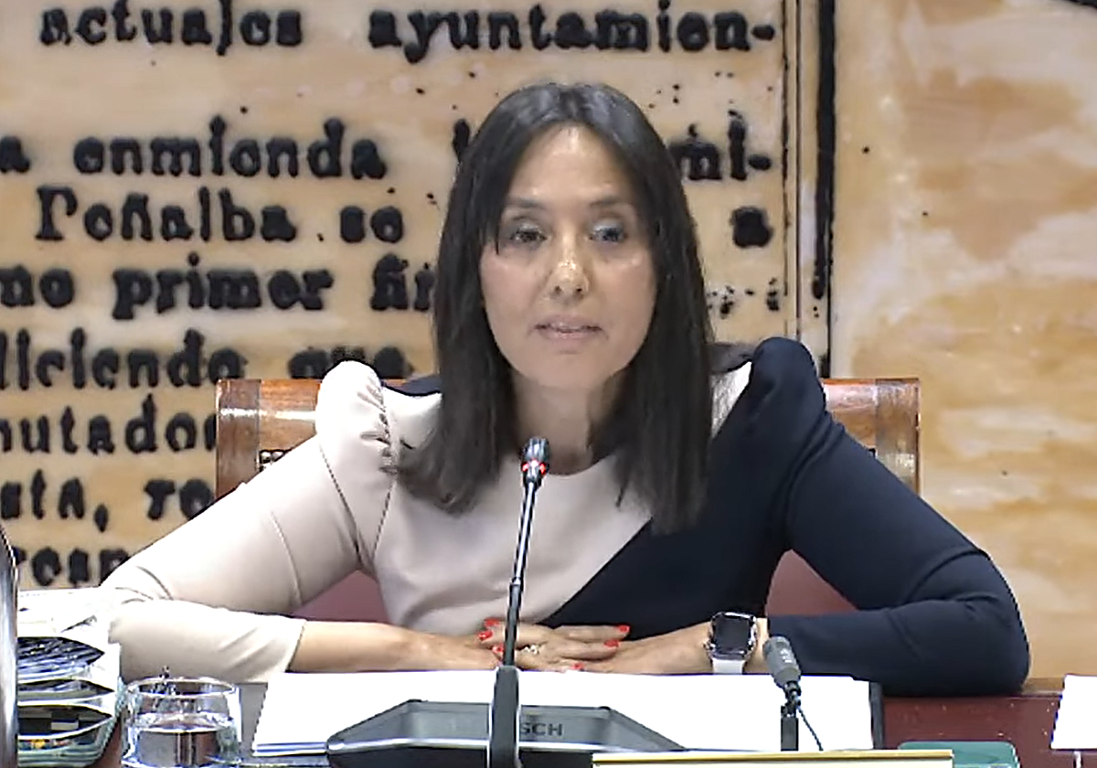 La directora general de la Guardia Civil en el Senado: «Leire Díez nunca me pidió ni frenar ni entorpecer investigaciones»