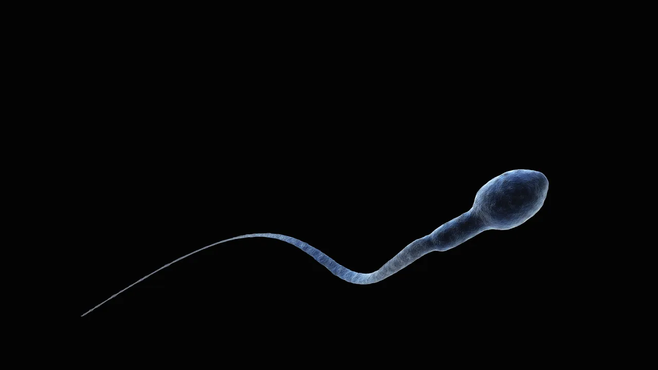 Fármacos para bajar de peso, como Ozempic, podrían mejorar la fertilidad en hombres con obesidad