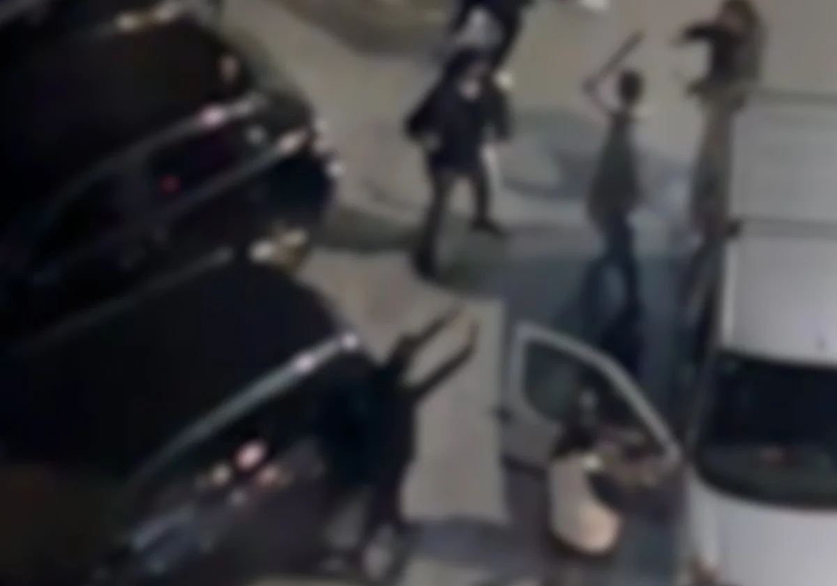 Unos jóvenes siembran el pánico en Parque del Sur: se enfrentan con hachas, katanas y cadenas metálicas