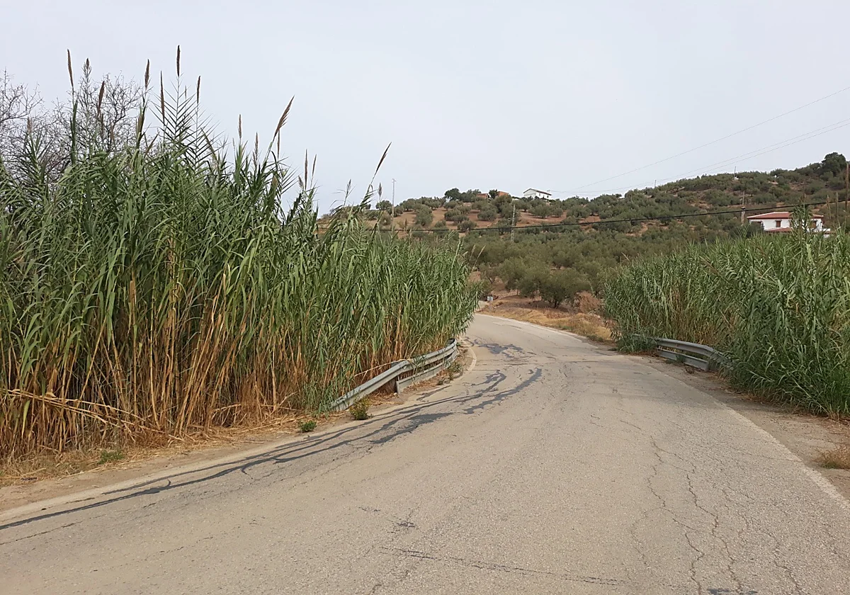 La Diputación completa la mejora de la carretera MA-3107 con nuevas obras entre Benamargosa y Riogordo