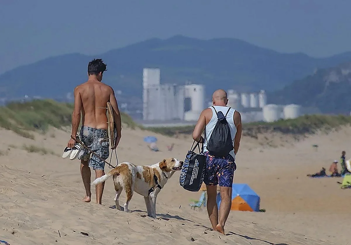 La caca en las dunas que drogó a mi perro