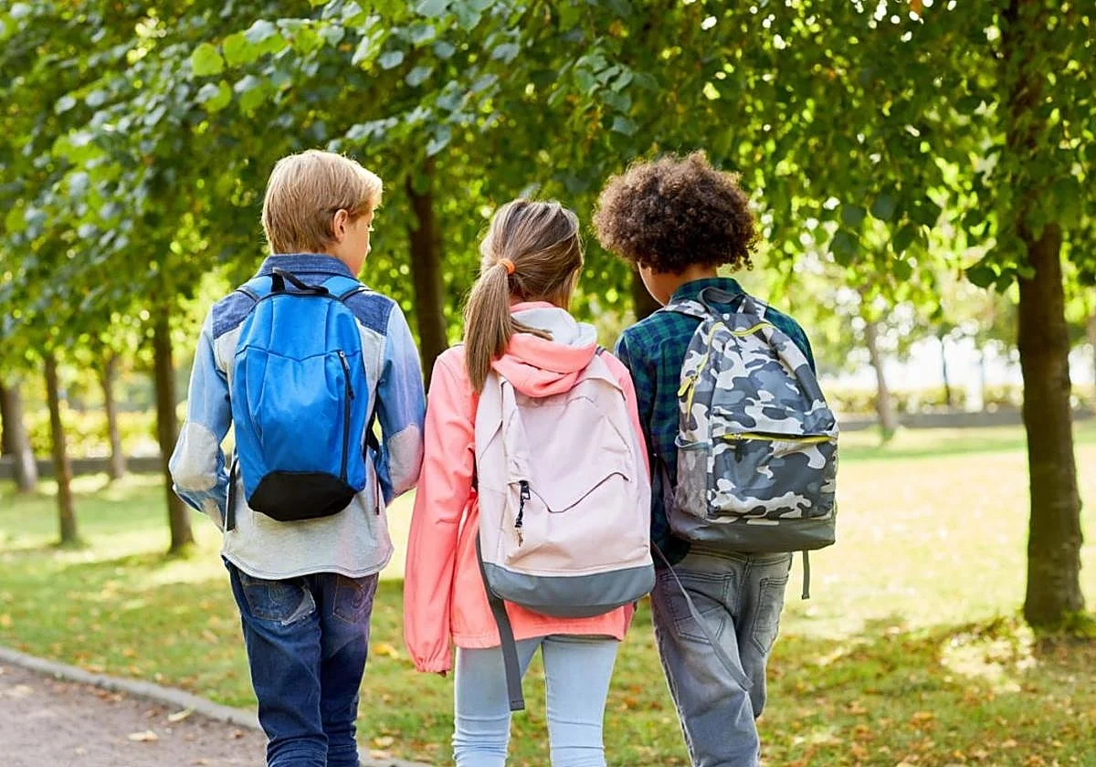 Condenan a una profesora de un colegio de Vizcaya por bajarle los pantalones a un alumno como castigo