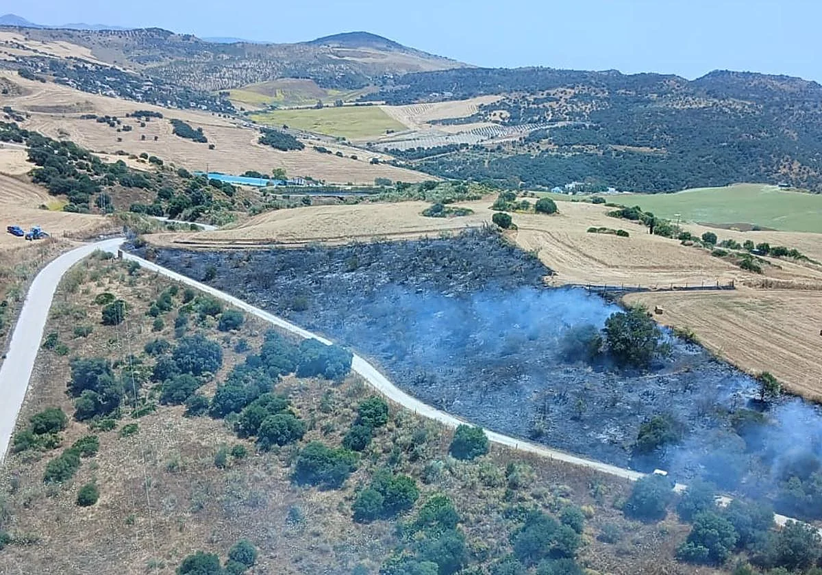 Declarado un incendio forestal en Almogía